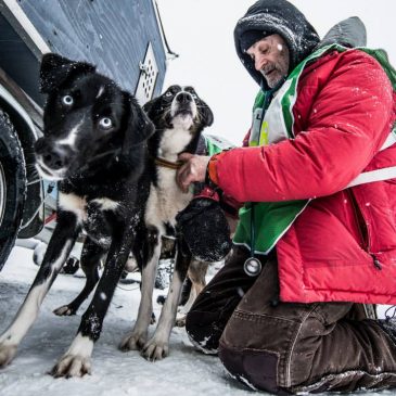 Veterinarian team 2018