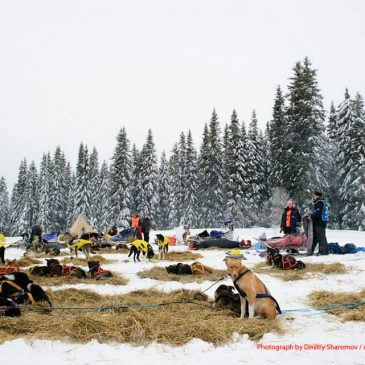 First team into Storåbränna checkpoint