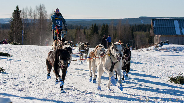 First teams in Storåbränna!