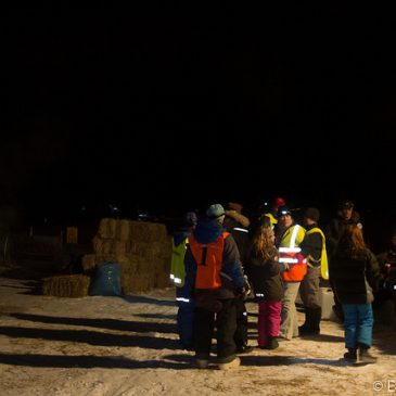 Lugnt på checkpoint