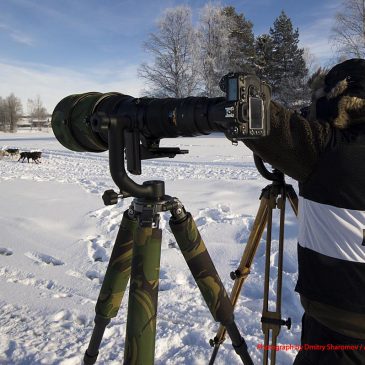 Våra fotografer