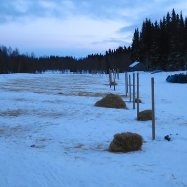 Checkpoint är nu tom!