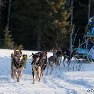 3:an i 12 spanns klassen i mål