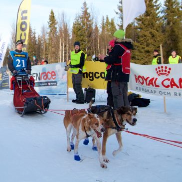 Film from the finish