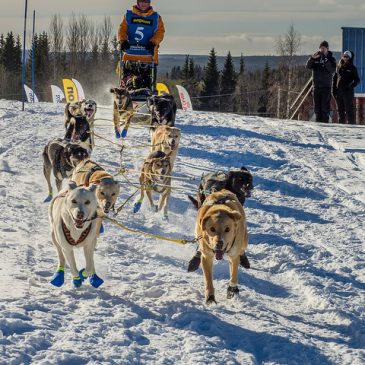 6 spann väntas till första vilan