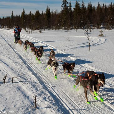 10 spann i Storåbränna 1