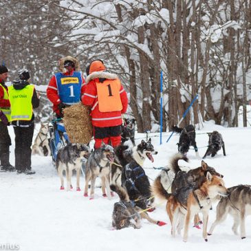 Tredje plats i 12-spannsklassen