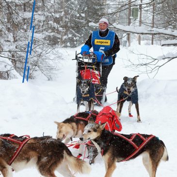 Kamp om SM-medaljerna i 12-spannsklassen