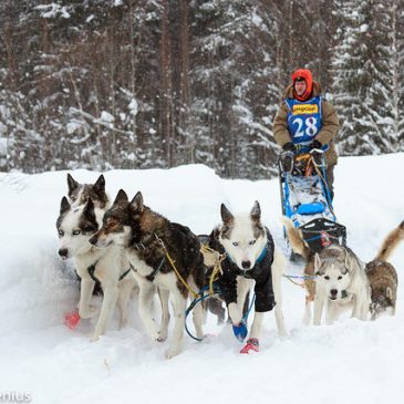 Alla kämpar på