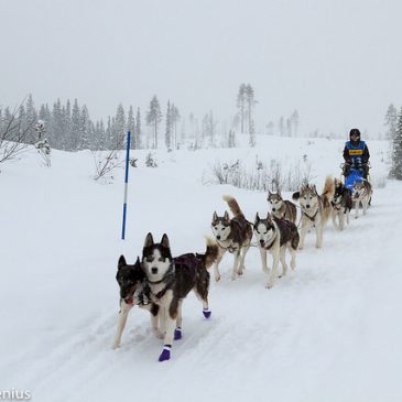 Sista spann i mål