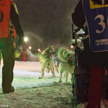 Swedish championship longdistance 2018