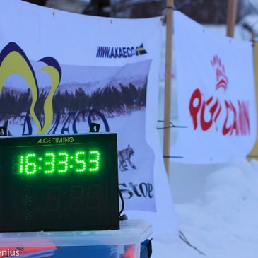 Last musher on her way to the finish line