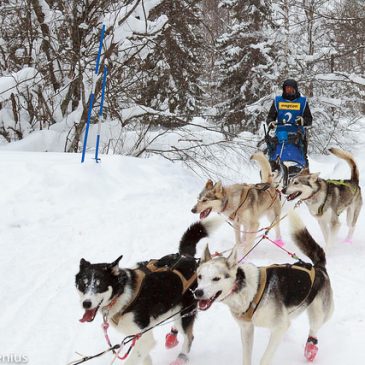 Fjärde plats i 12-spannsklassen