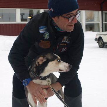 Registring och veterinärkontroll Amundsen race 2018