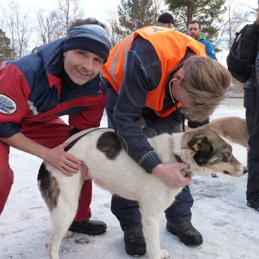 Inga tidsbokningar för registrering och veterinärbesiktning